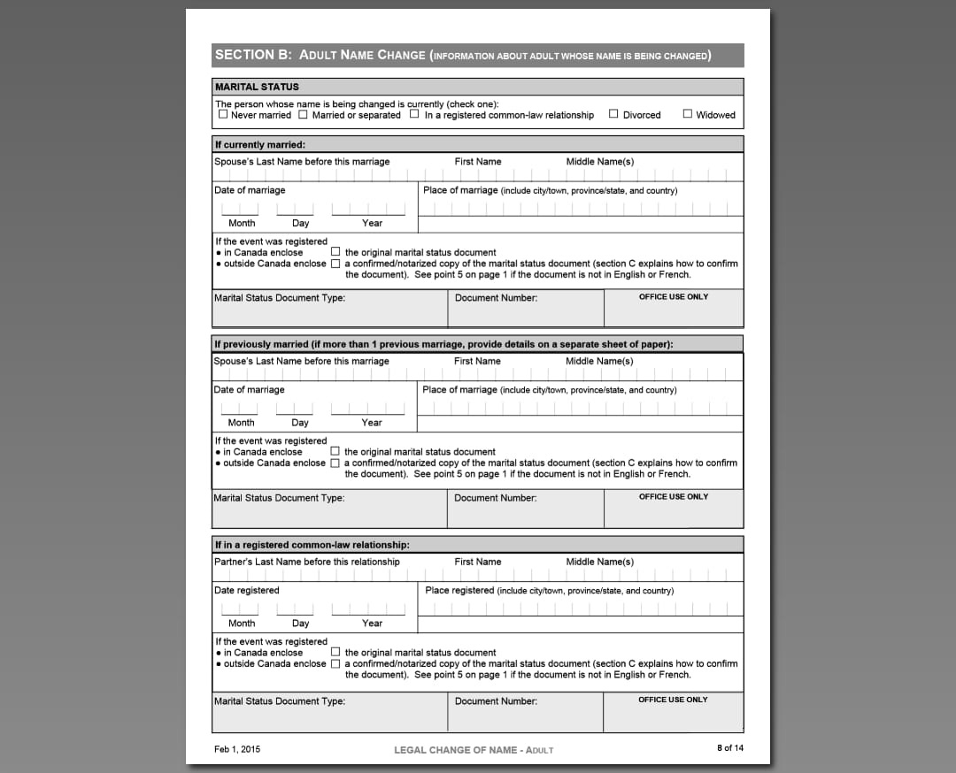 Martial info section