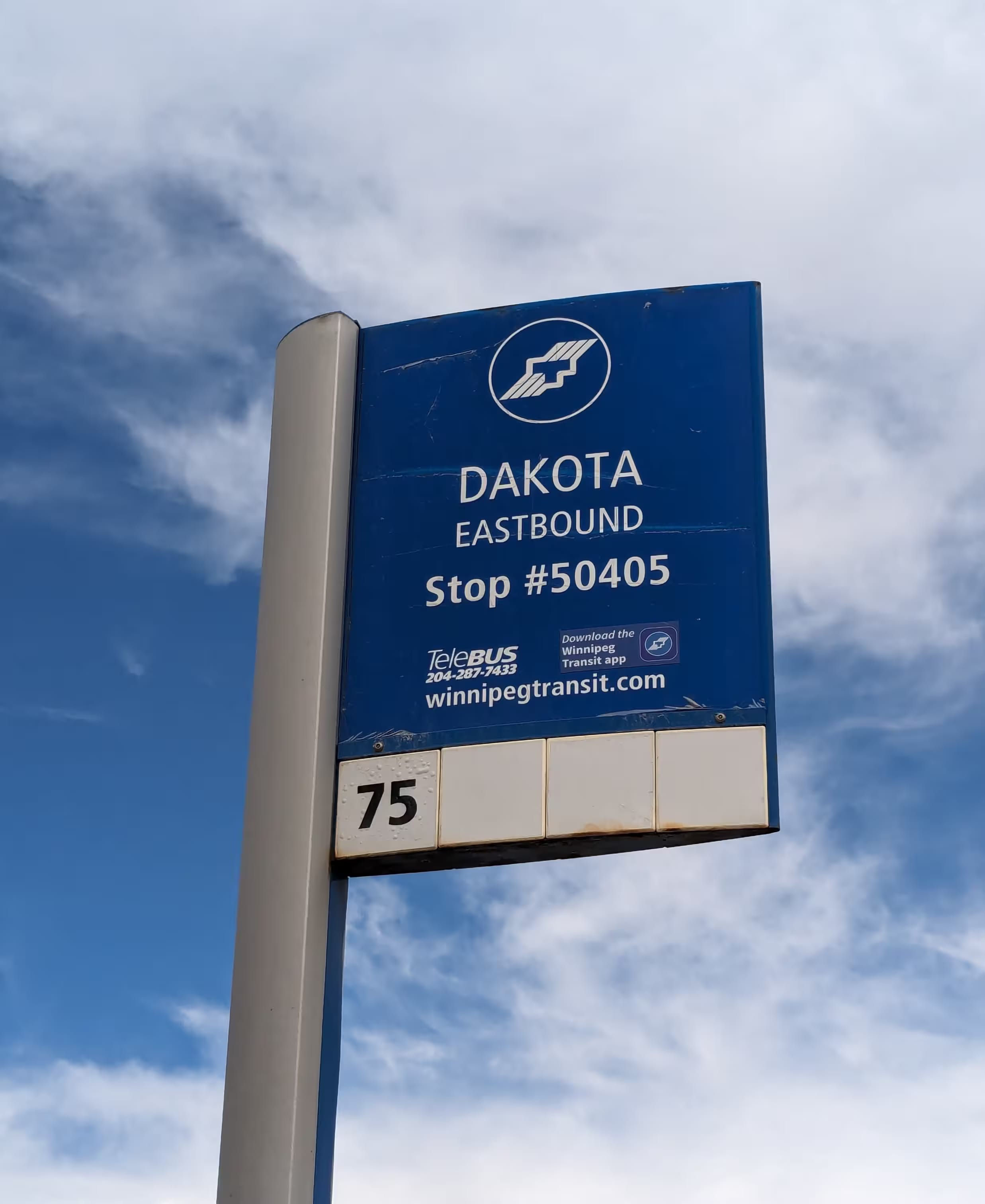 Bus stop sign with a custom pole and material